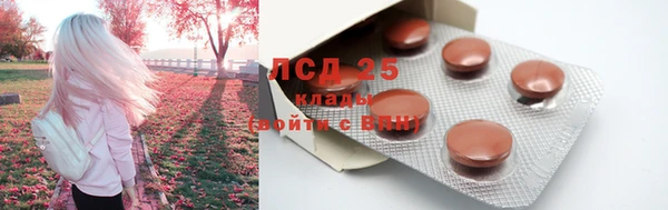 дживик Вязьма