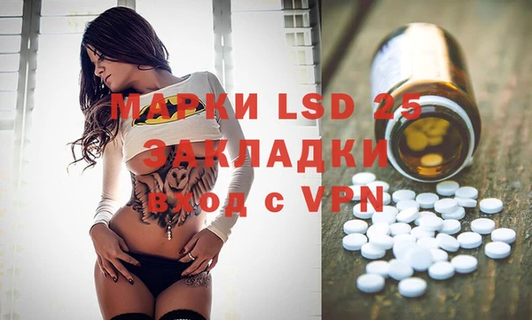 дживик Вязьма