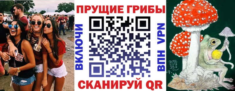 Псилоцибиновые грибы MAGIC MUSHROOMS  где можно купить наркотик  Зерноград 